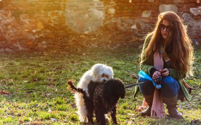 Our Dog’s Most Embarrassing Behavior: Mounting