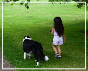 Dog Bites