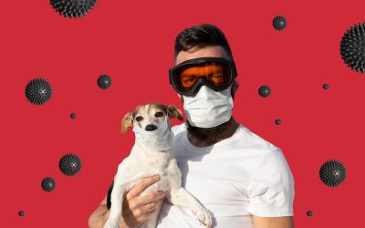 Coronavirus and Your Pet