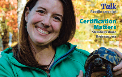 We Were Featured Again in Pet Sitter’s International Magazine