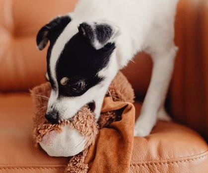 Do You Have a Toy-nado of Terror?