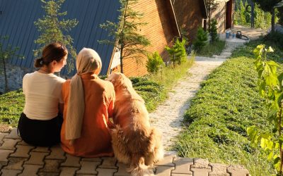 Hitting the Road with Your Furry Friend